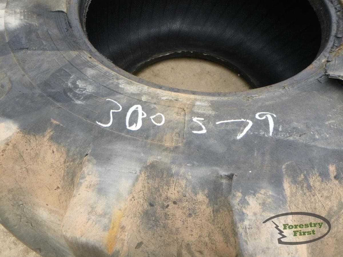 300579