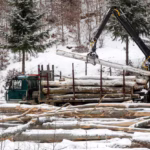 Cold Weather Starting Wisdom